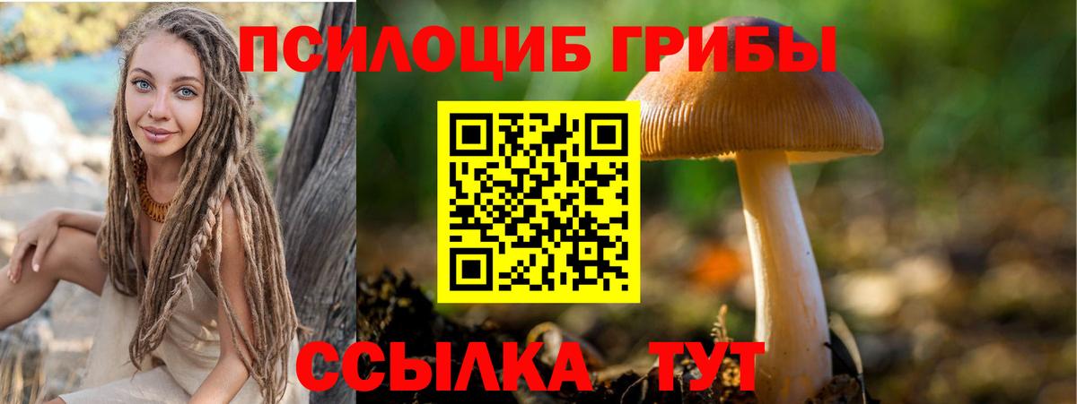 Галлюциногенные грибы Cubensis Железногорск